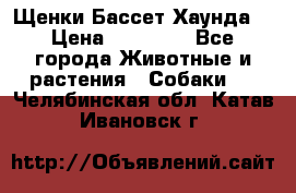 Щенки Бассет Хаунда  › Цена ­ 25 000 - Все города Животные и растения » Собаки   . Челябинская обл.,Катав-Ивановск г.